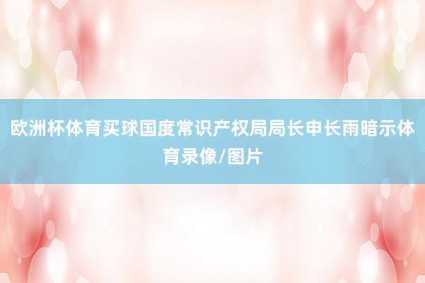 欧洲杯体育买球国度常识产权局局长申长雨暗示体育录像/图片
