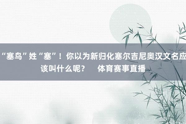 “塞鸟”姓“塞”！你以为新归化塞尔吉尼奥汉文名应该叫什么呢？    体育赛事直播