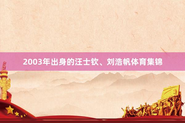 2003年出身的汪士钦、刘浩帆体育集锦